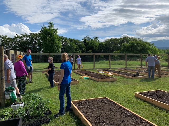 Planting Seedlings